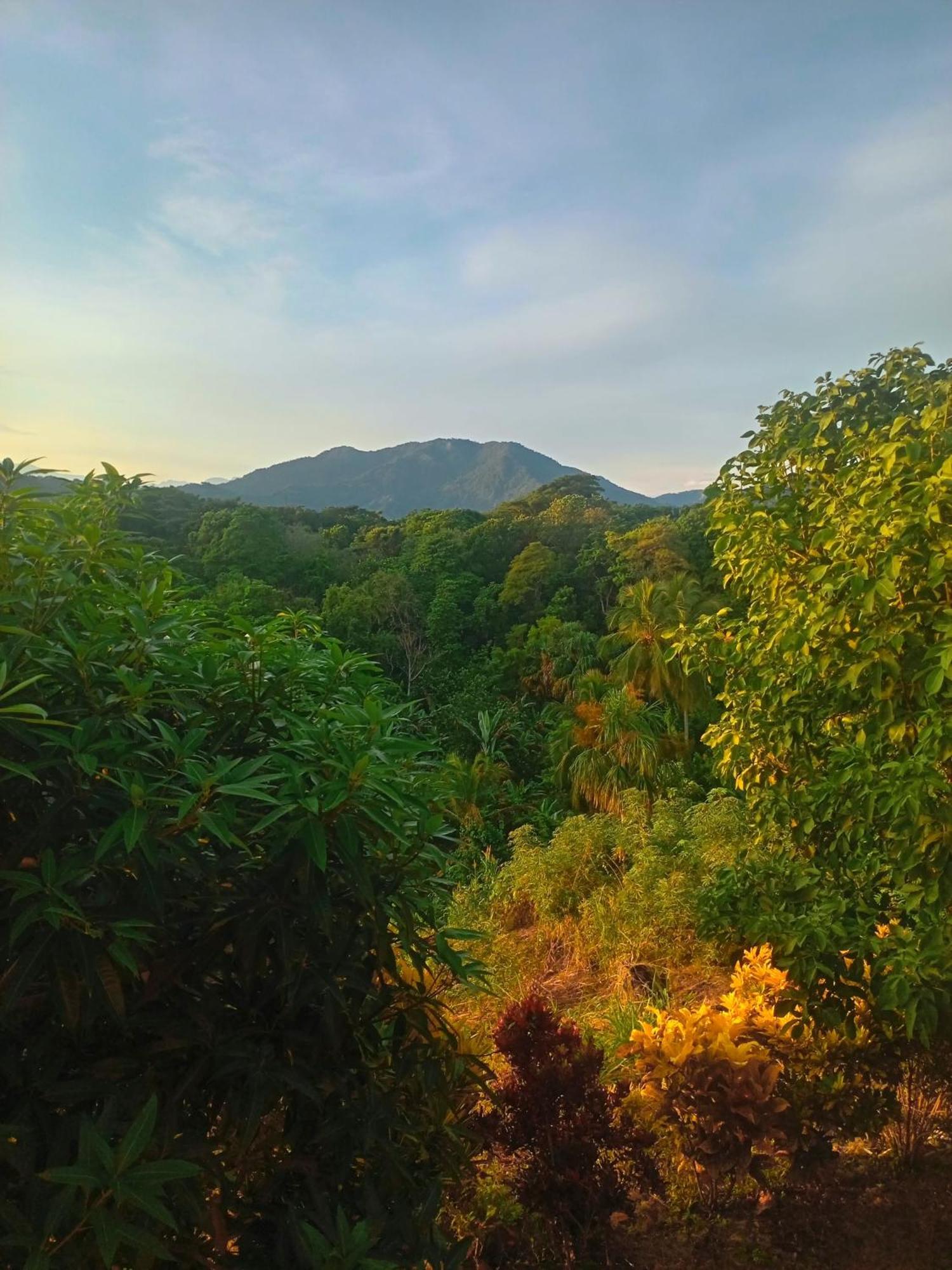 Casa Tolosa Tayrona, Los Cocos La Poza Buitenkant foto