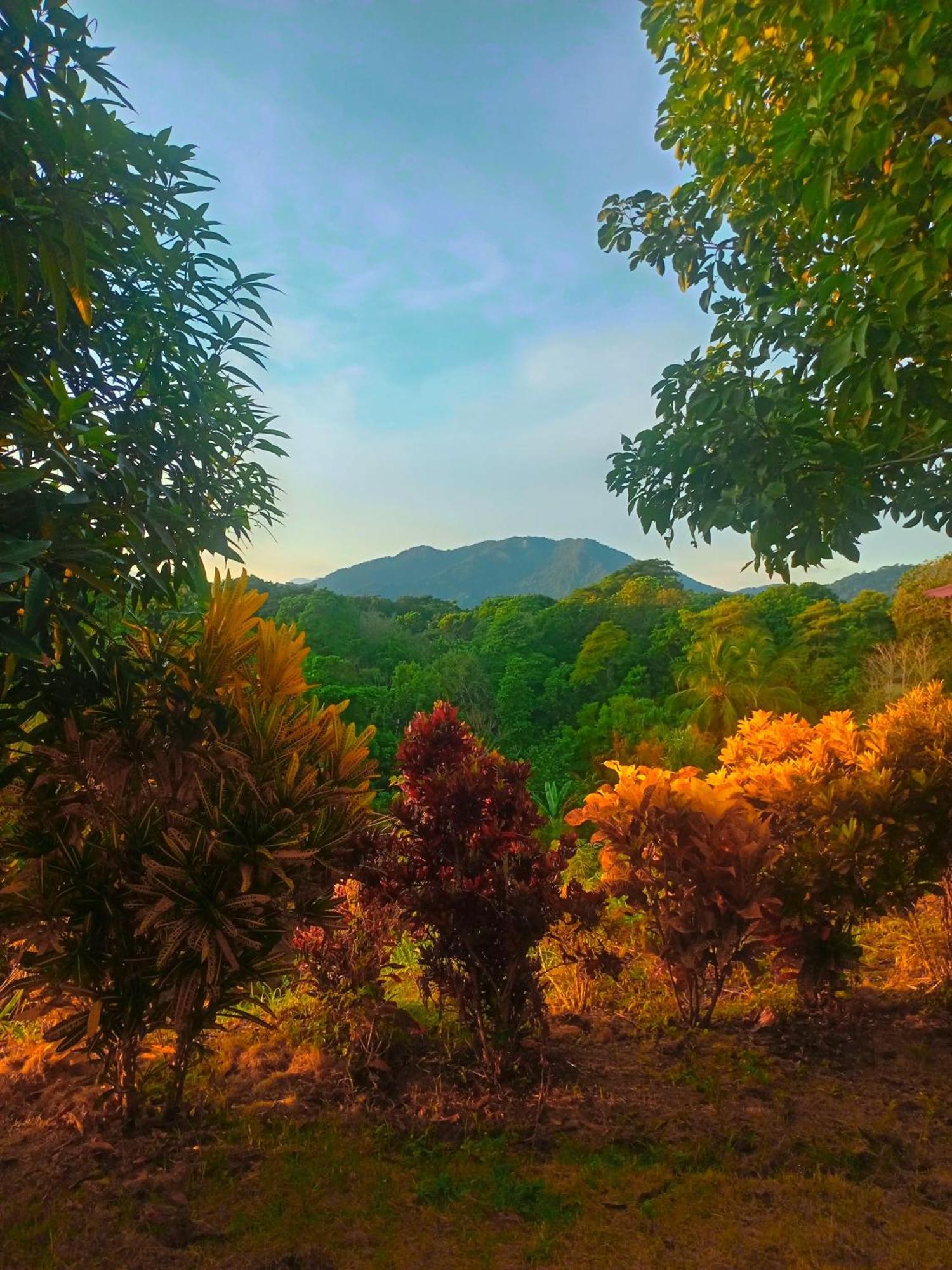 Casa Tolosa Tayrona, Los Cocos La Poza Buitenkant foto